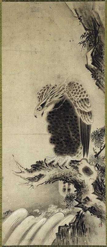 Eagle Perched on Branch