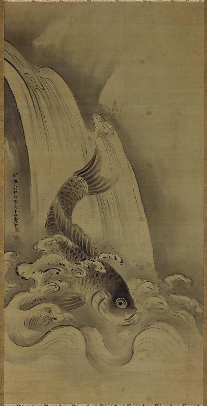 Carp and Waterfall