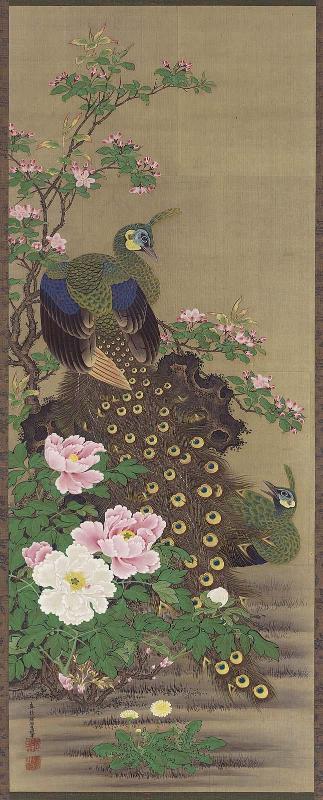 Peacocks and Peonies
