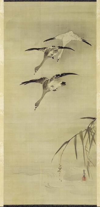 Descending Geese and Reeds