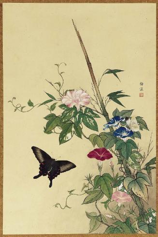 Butterfly and Morning Glory