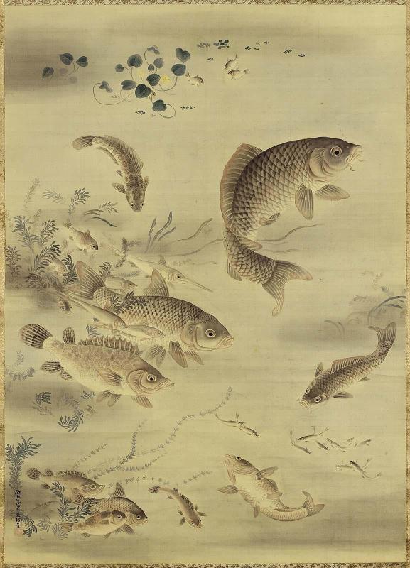 Fish and Duckweed