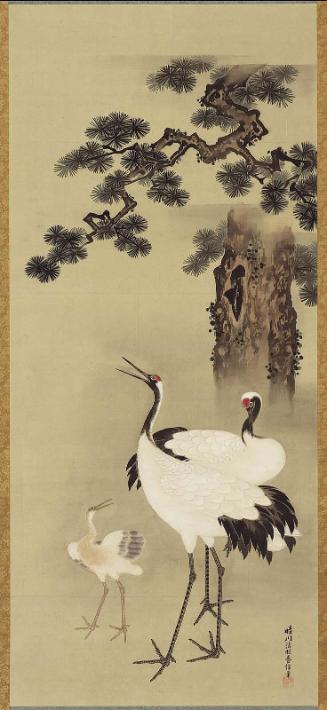 Cranes and Pine Tree