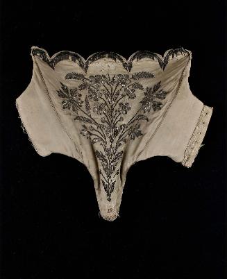 Stomacher