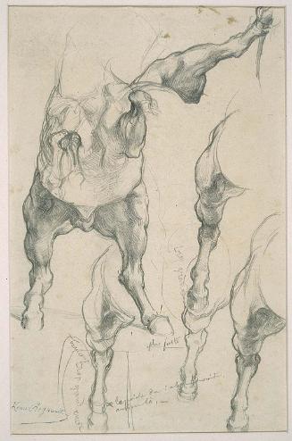 Restricted: For reference only