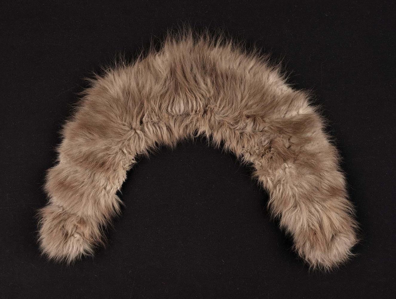 Lady's fur collar