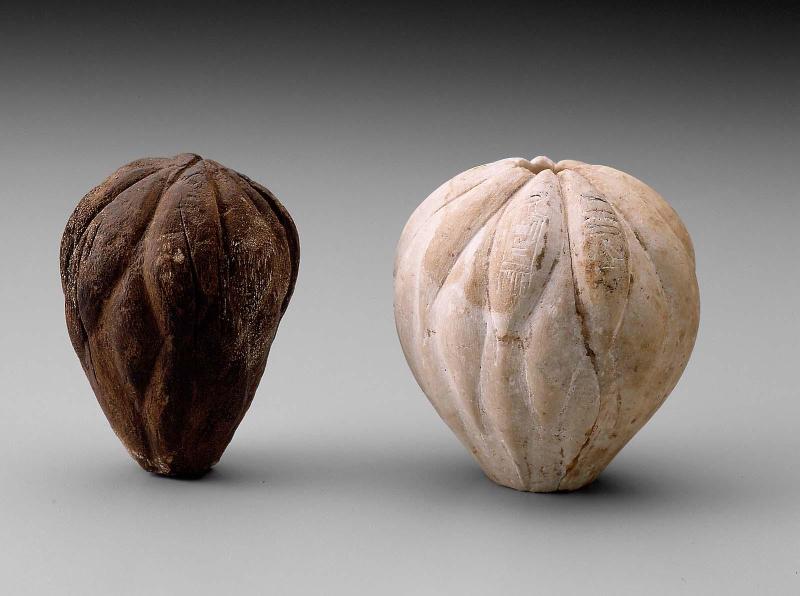 Group shot: 24.601-2