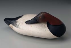 Decoy: Resting Canvasback (Drake)