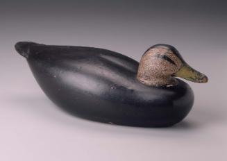 Decoy: Black Duck