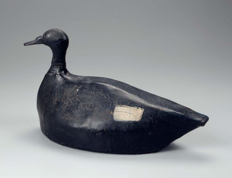 Decoy: White Wing Scoter (Male)