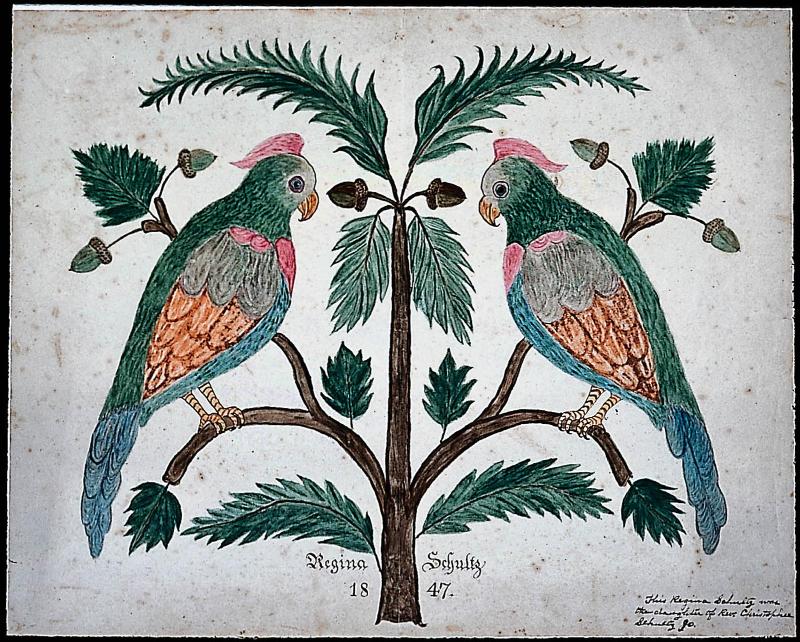 Two Parrots on an Oak Tree