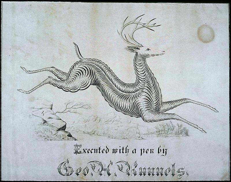 Stag leaping to right