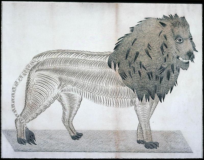 Lion with Heavy Mane, Facing Right