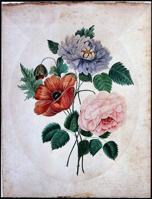 Aster, Poppy and Rose