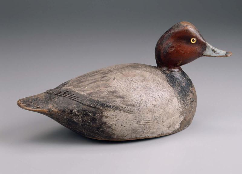 Redhead Drake decoy