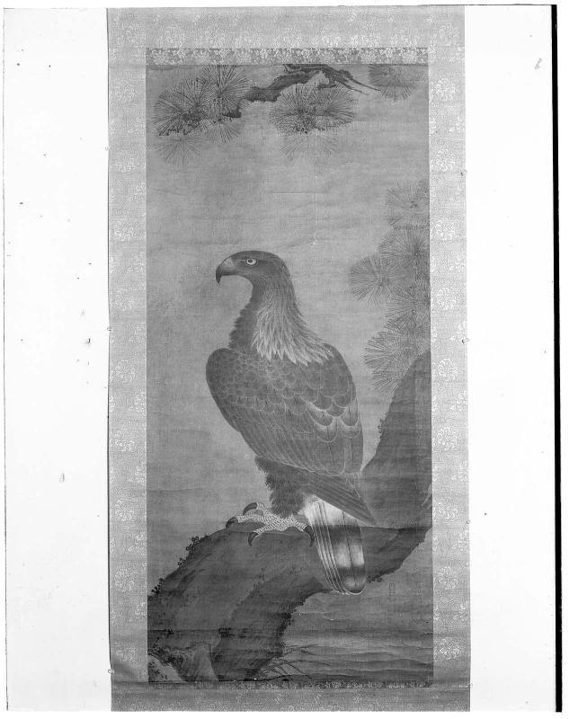 Eagle