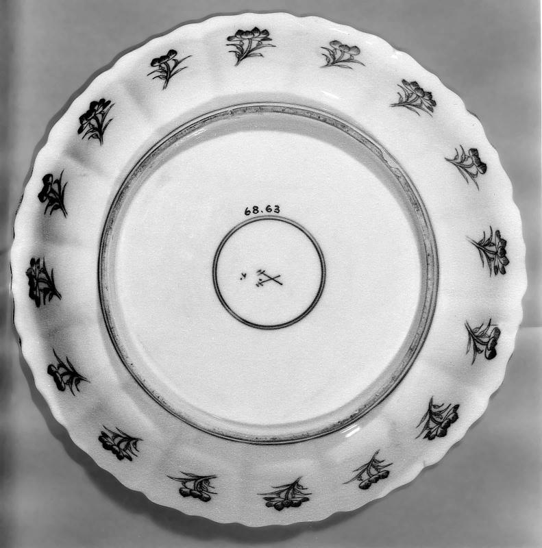 Dish