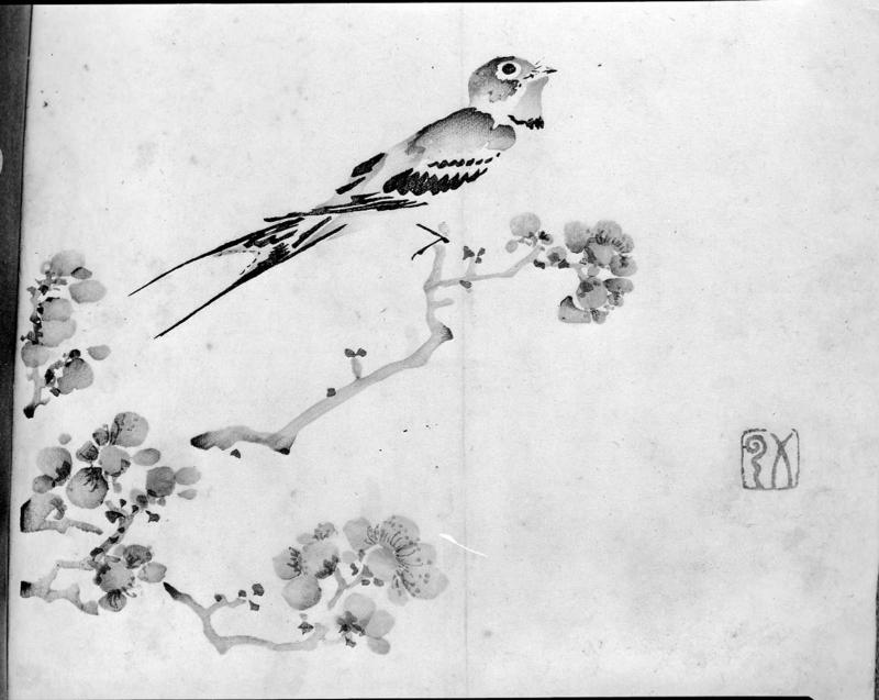 The Ten Bamboo Studio, Volume of Miscellaneous Drawings: Swallow on plum branch