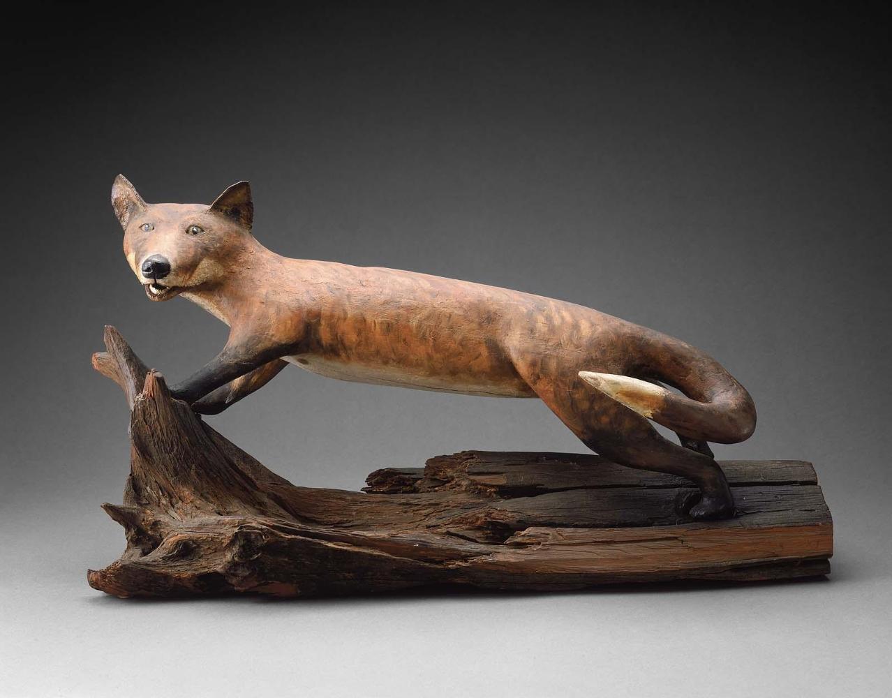 Fox on log