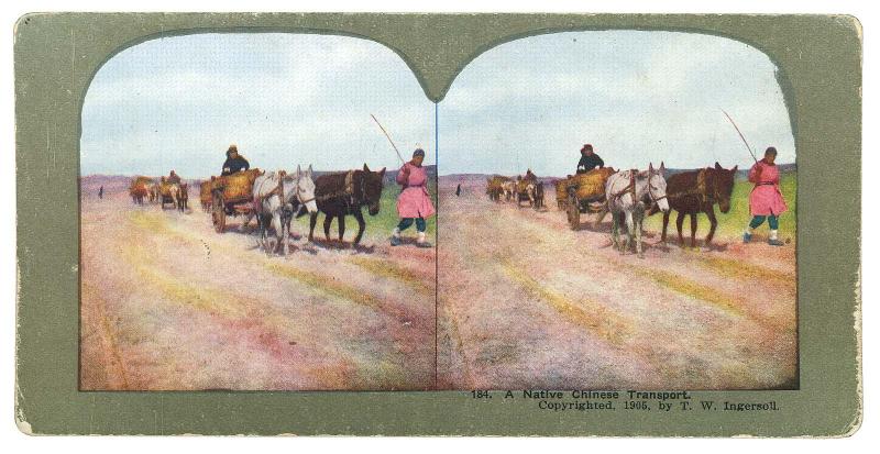 A Native Chinese Transport