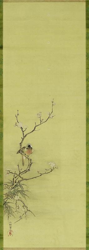 Long-tailed Bird