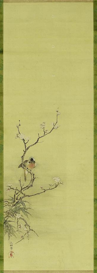Long-tailed Bird