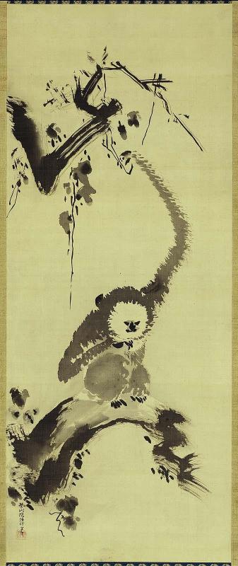 Monkey