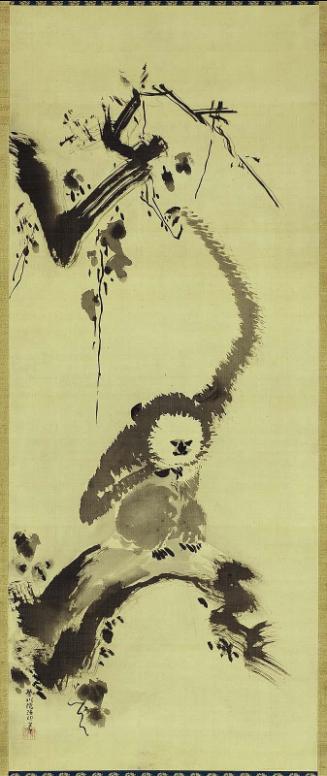 Monkey