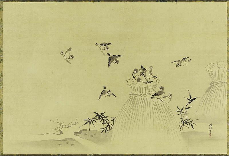 Sparrows and Sheaves of Rice