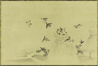 Sparrows and Sheaves of Rice