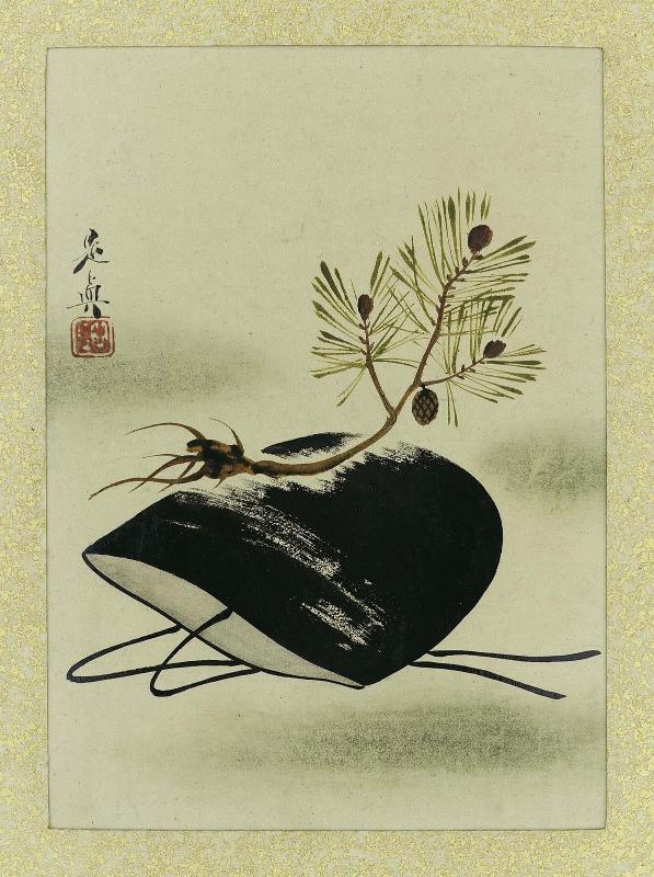 Warden's Cap and a Young Pine
