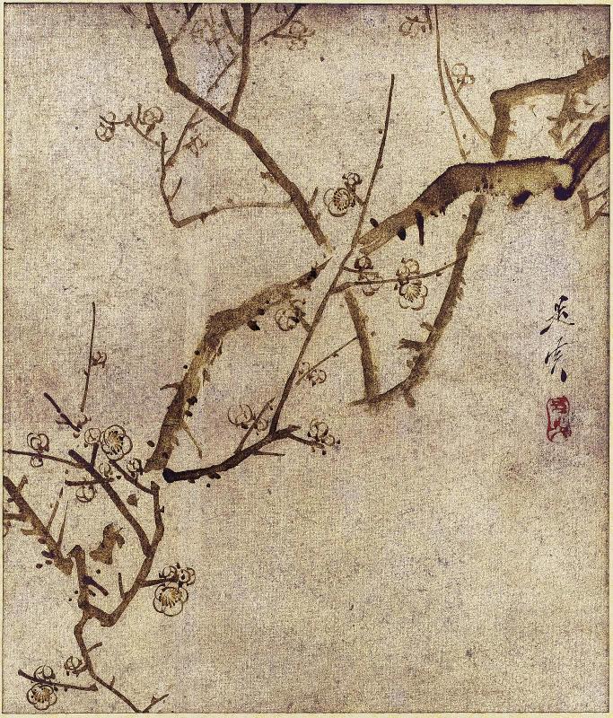 Blossoming Plum Branches