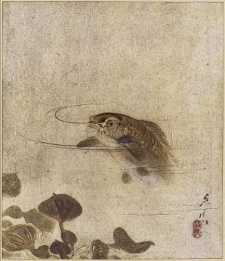 Carp and Water Plants