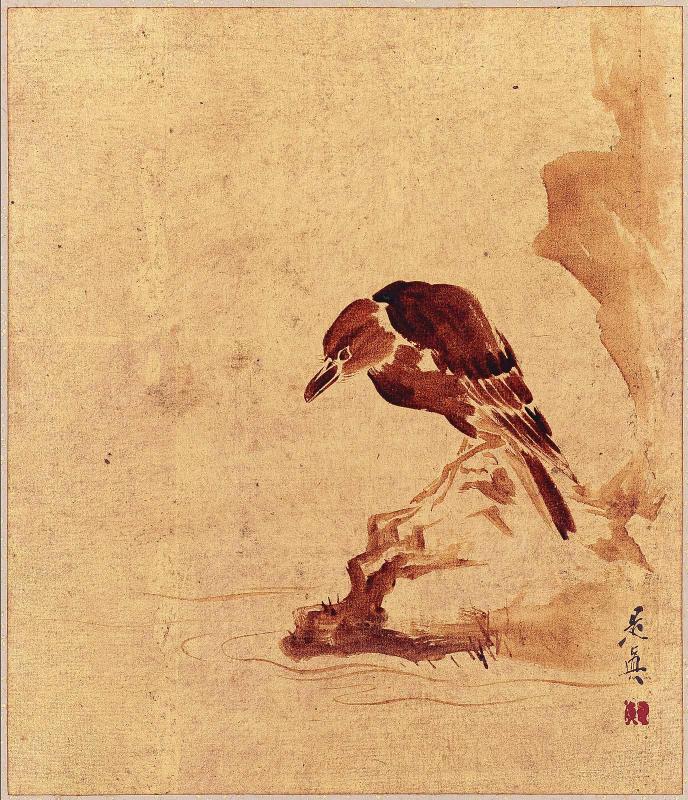 Crow on a Rock