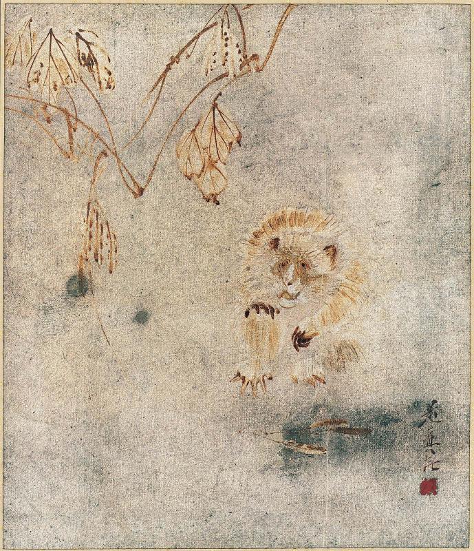 Monkey and a Vine