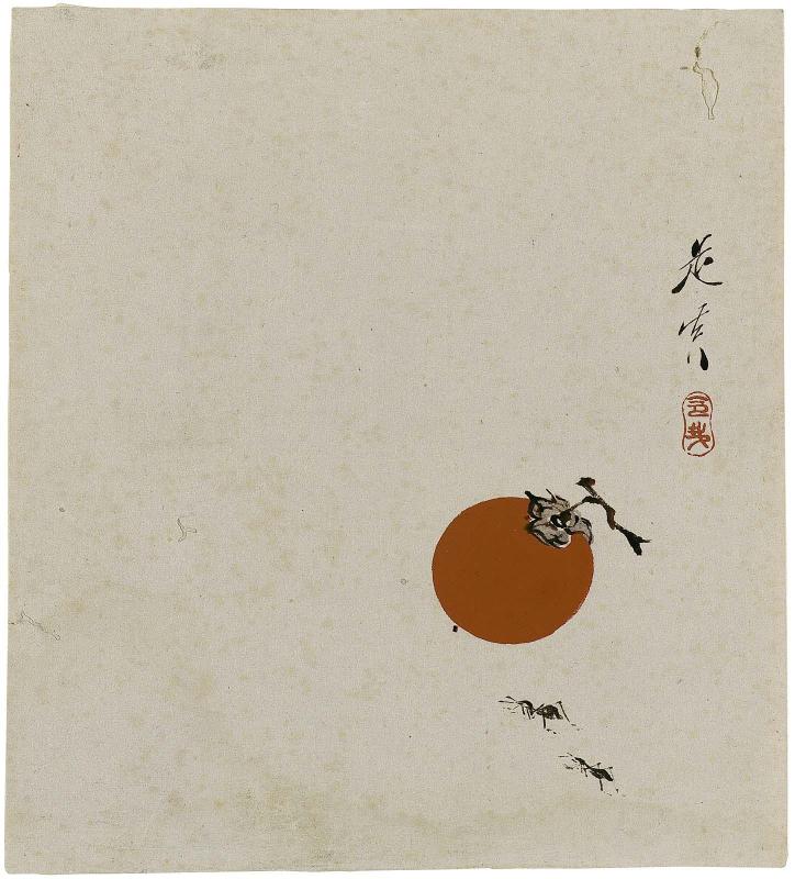 Persimmon and Ants