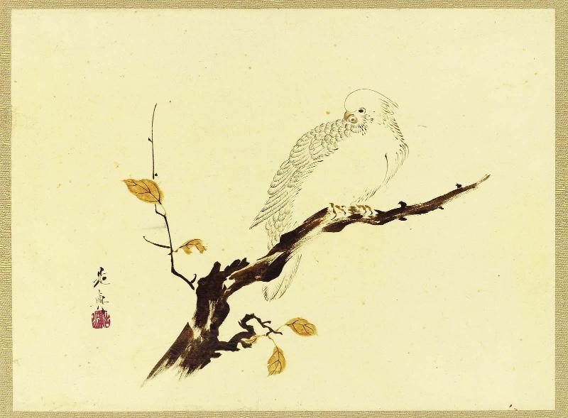 Parrot on a Branch