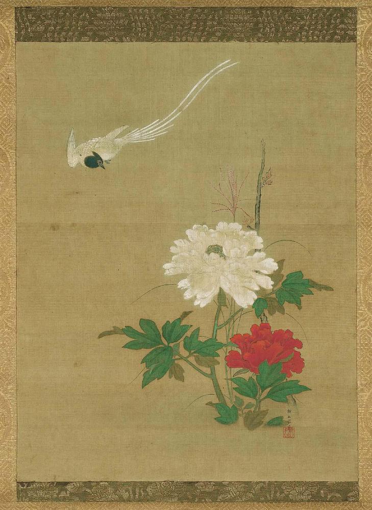 Long-Tailed Bird and Peony