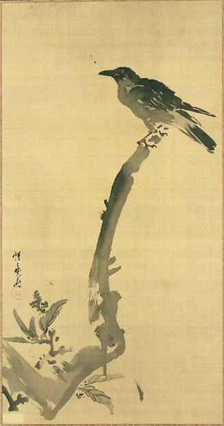 Crow on a Branch