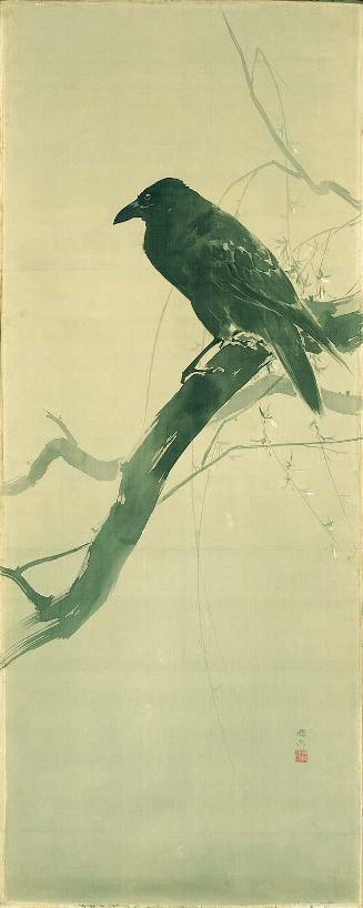 Crow on a Branch