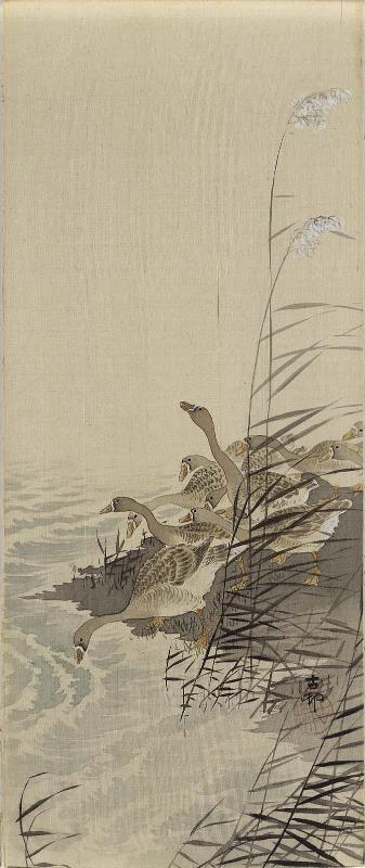 Geese and Reeds