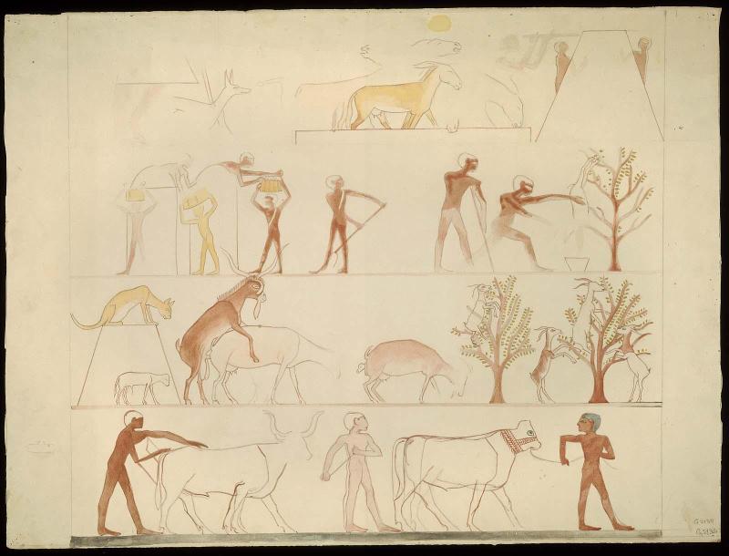 Watercolor of the painted designs from Chamber B west wall from the tomb of Akhmeretnesut G 2184