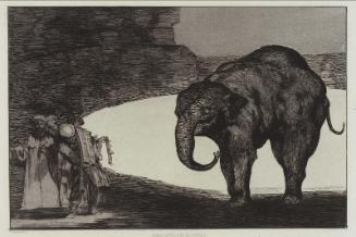 Disparate de Bestia (Animal Folly); plate from the "Disparates" (Follies) series, published in "L'Art", 1877