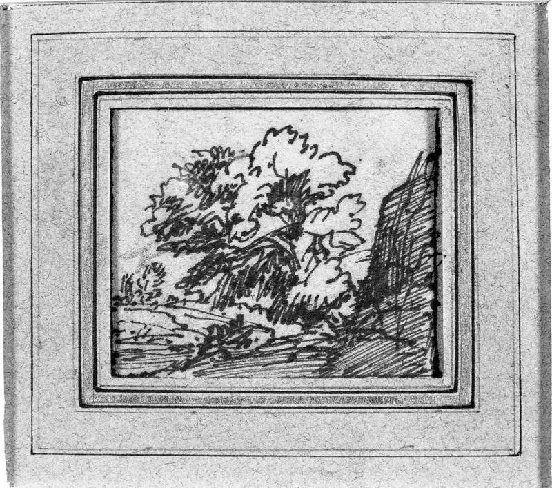 Study of a Tree