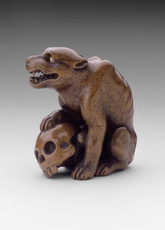Wolf and Skull