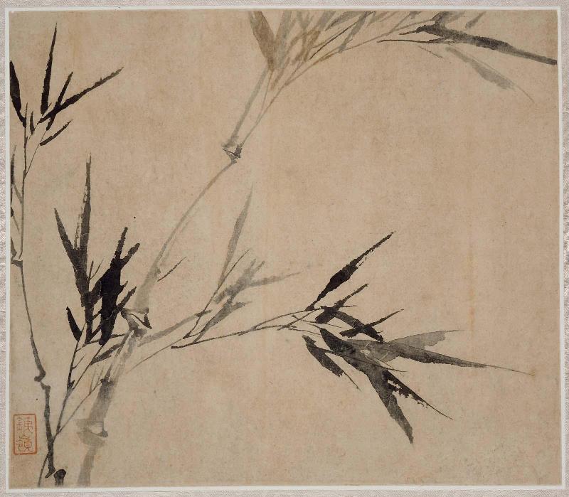 Album of flowers