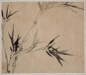 Album of flowers