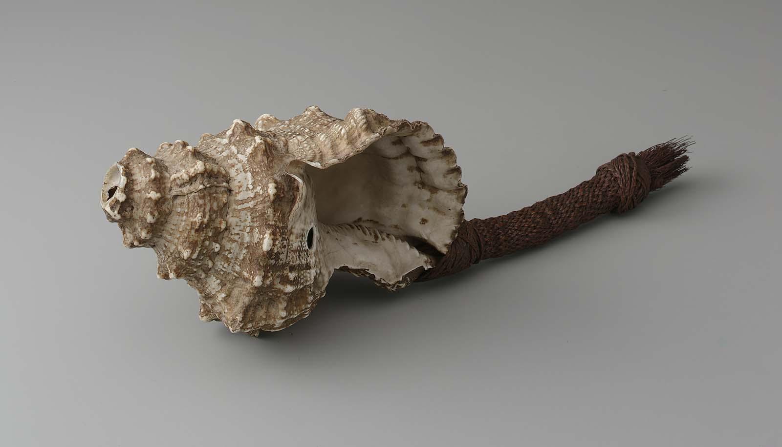 Shell trumpet (davui)