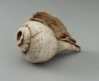 Shell trumpet (sak)