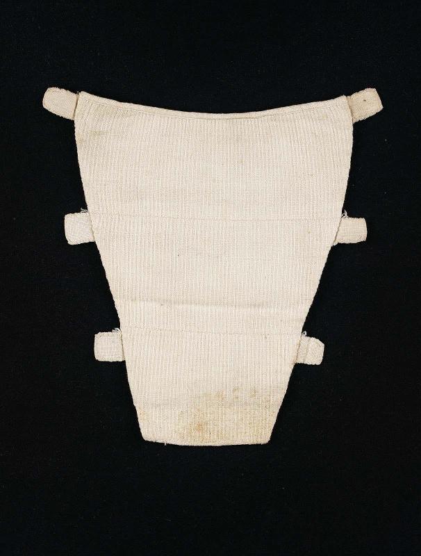 Stomacher
